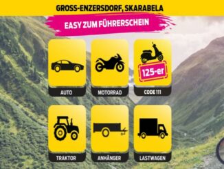 Fahrschule Skarabela