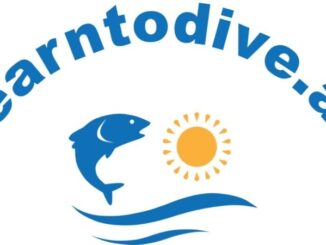 Learntodive.at - Tauchkurse für Kinder und Jugendliche
