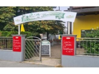 Steirische Bierinsel