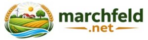 Marchfeld.net * Informieren / Kommunizieren / Mitteilen *